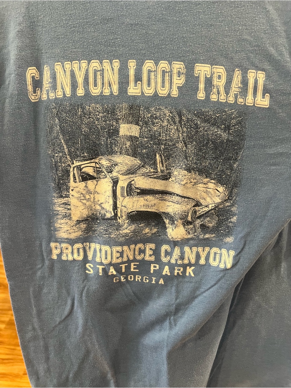 Canyon Loop Trail Providence Canyon Graphic Short Sleeve Tee - Blue